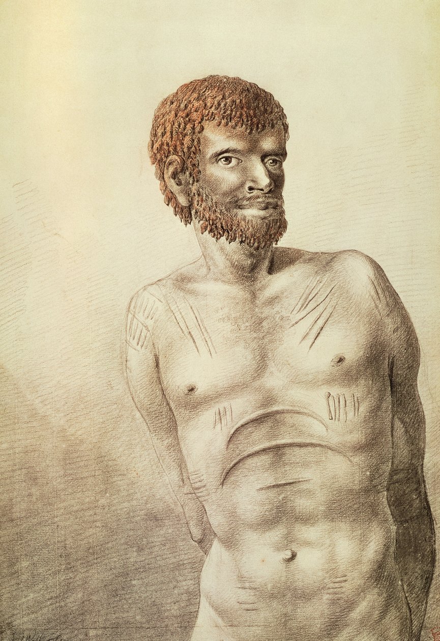 Pochodzący z Ziemi Van Diemena, obecnie Tasmania, styczeń 1777, rysunek Johna Webbera (1750-1793) Australia autorstwa John Webber