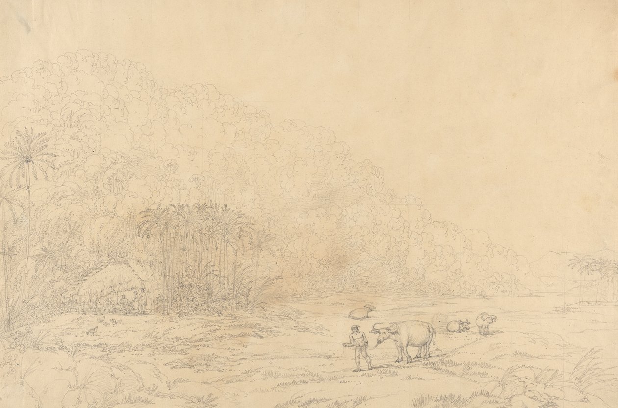 Widok na wyspie Pulo Condore autorstwa John Webber
