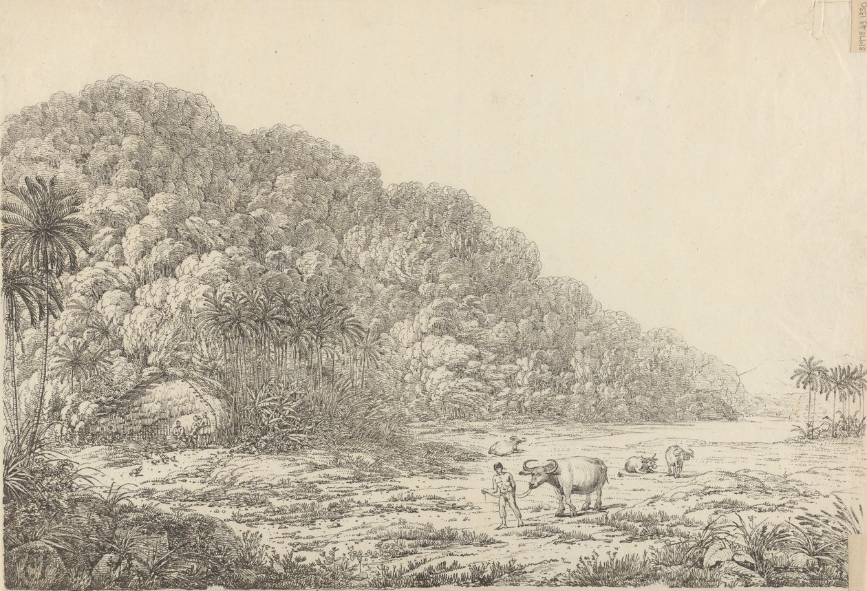 Widok na wyspie Pulo Condore autorstwa John Webber