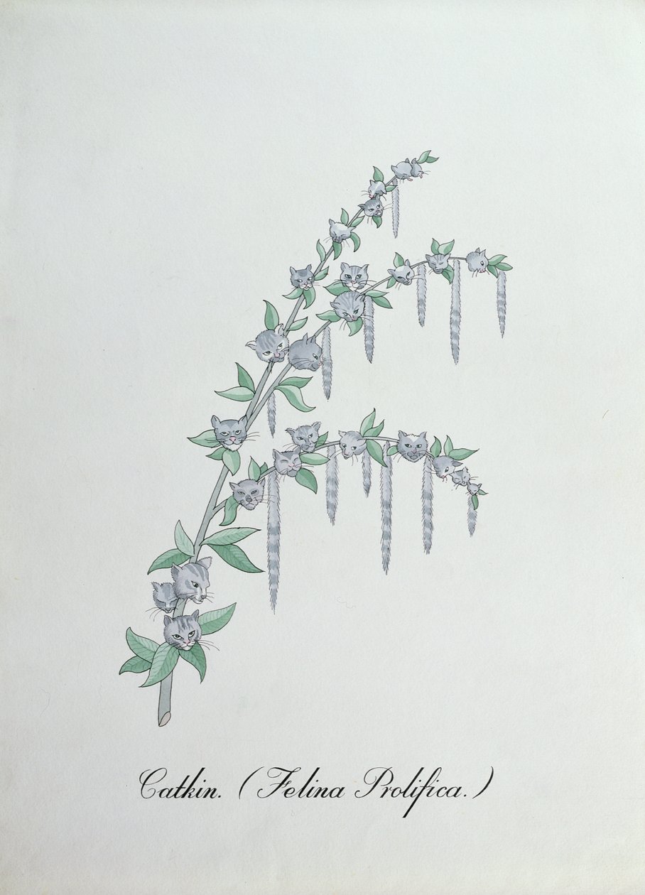Kotka (Felina Prolifica.), ilustracja z „Fałszywej księgi botaniki” Johna Weira autorstwa John Weir