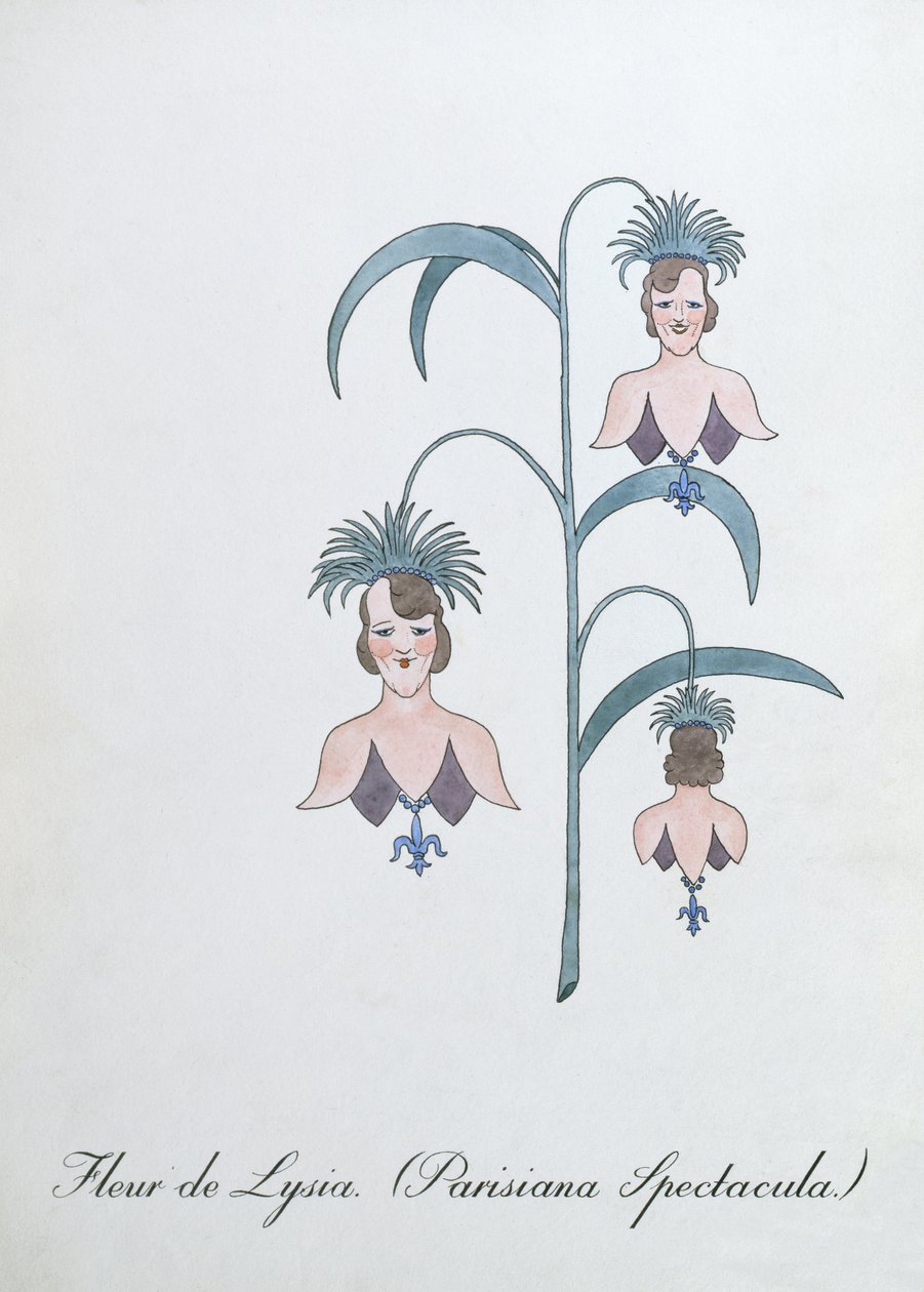 Fleur de Lysia (Parisiana Spectacula.), ilustracja z „Fałszywej księgi botaniki” Johna Weira autorstwa John Weir
