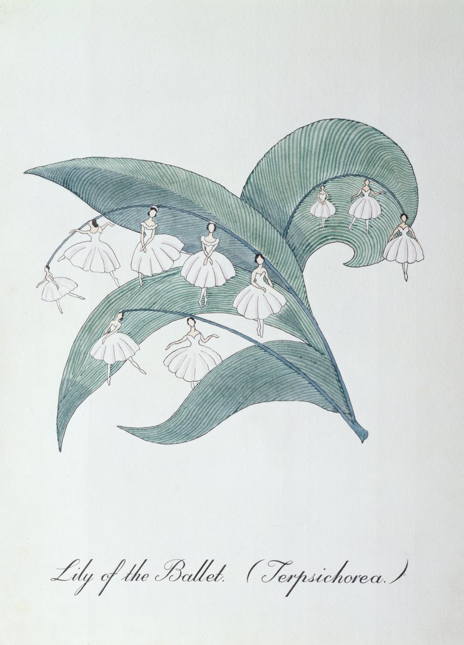 Konwalia baletowa (Terpsichore.), ilustracja z „Fałszywej księgi botaniki” Johna Weira autorstwa John Weir