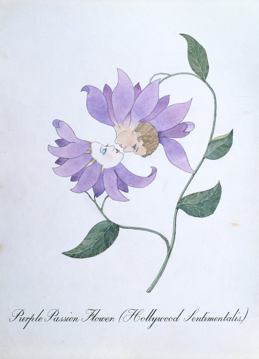 Purple Passion Flower (Hollywood Sentimentalis), ilustracja z „Fałszywej księgi botaniki” Johna Weira autorstwa John Weir