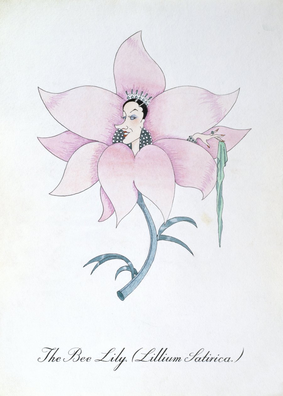 Pszczoła lilia (Lilium satyryczne), ilustracja z „Fałszywej księgi botaniki” Johna Weira autorstwa John Weir