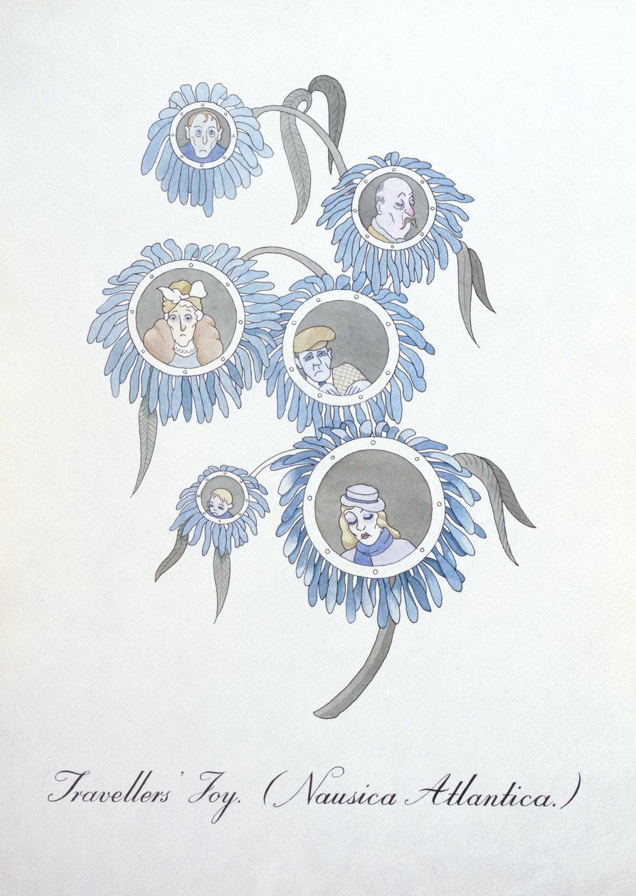 Radość podróżnika (Nausica Atlantica.), ilustracja z „Fałszywej księgi botaniki” Johna Weira autorstwa John Weir