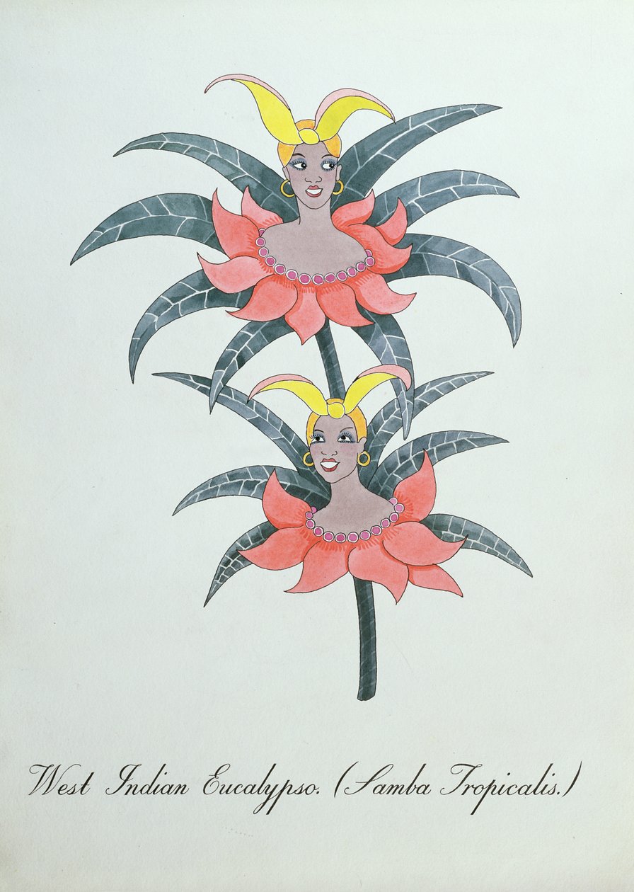 West Indian Eucalypso (Samba Tropicalis.), ilustracja z „Fałszywej księgi botaniki” Johna Weira autorstwa John Weir