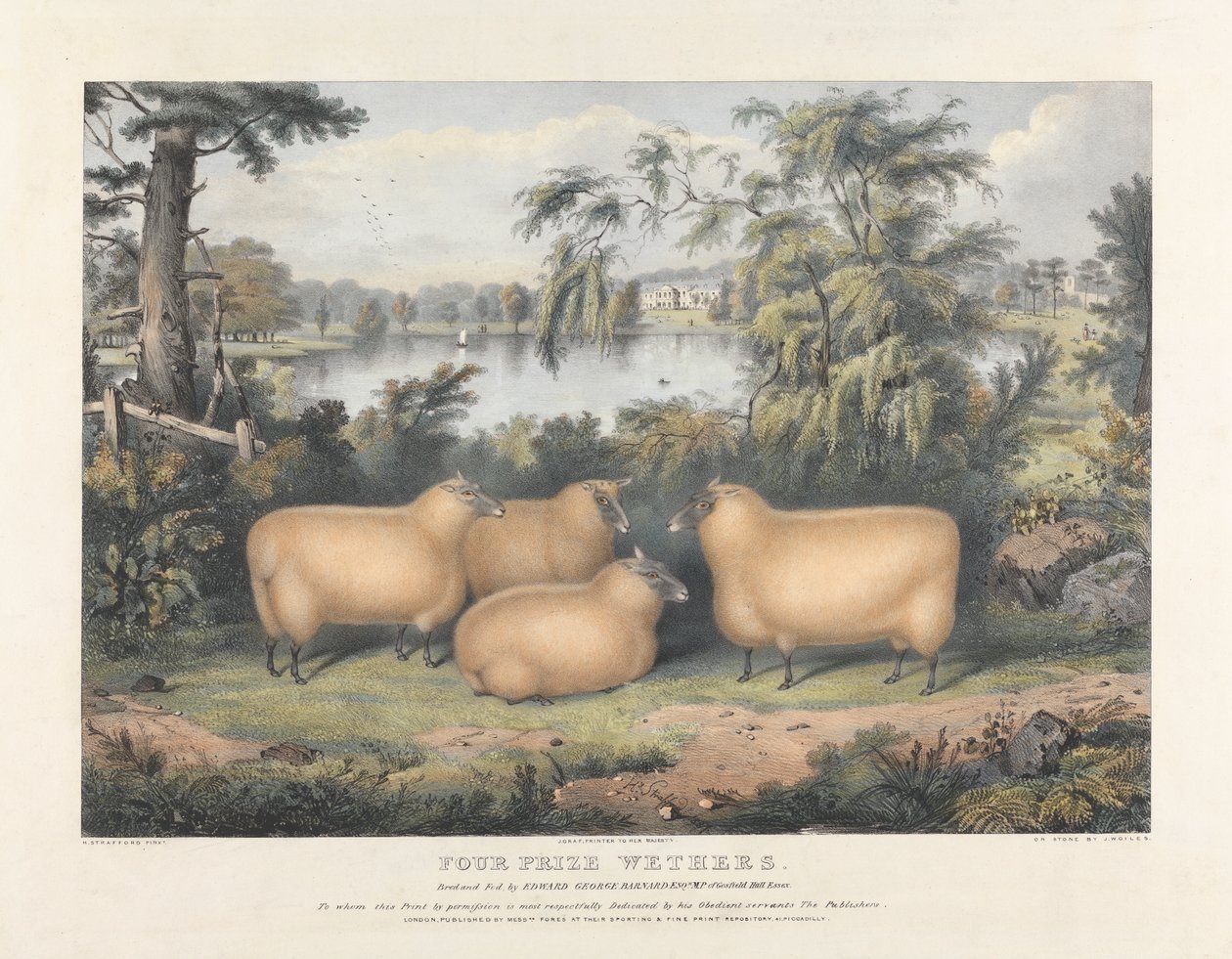 Cztery nagrody Wethers autorstwa John West Giles
