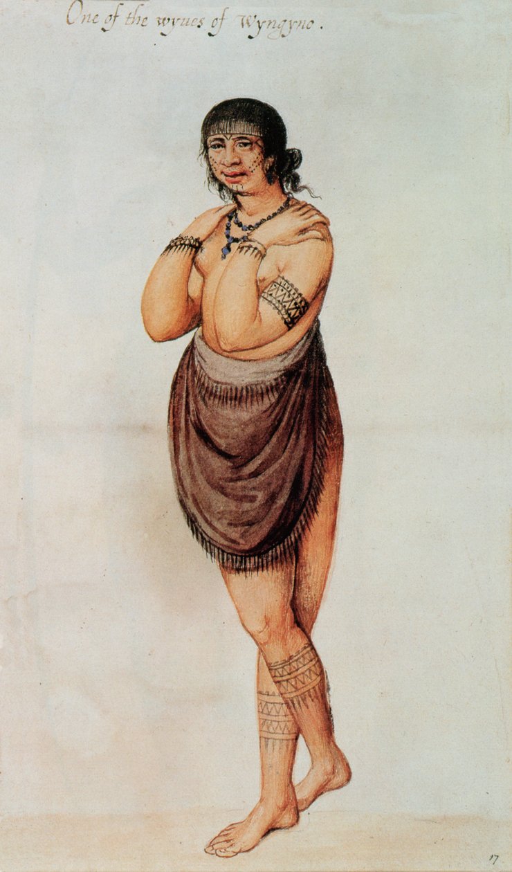Indianka (kolor lito) autorstwa John White