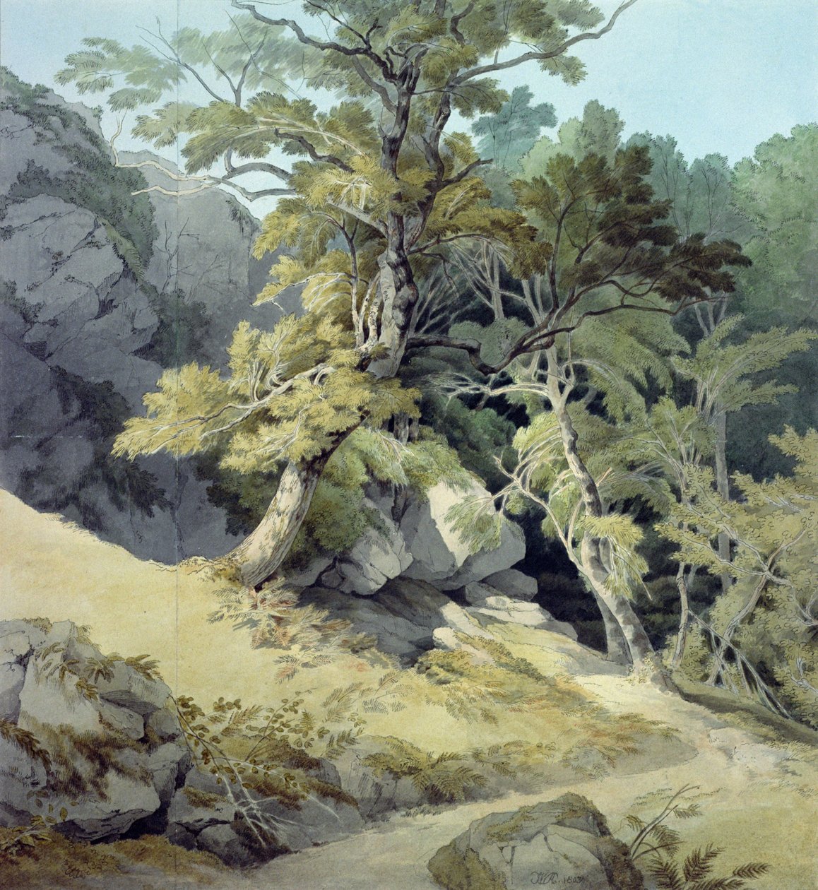 Canonteign, Devon autorstwa John White Abbott