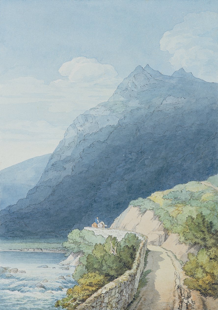 Dart at Holne Chase, Devon (toaleta, długopis i atrament) autorstwa John White Abbott