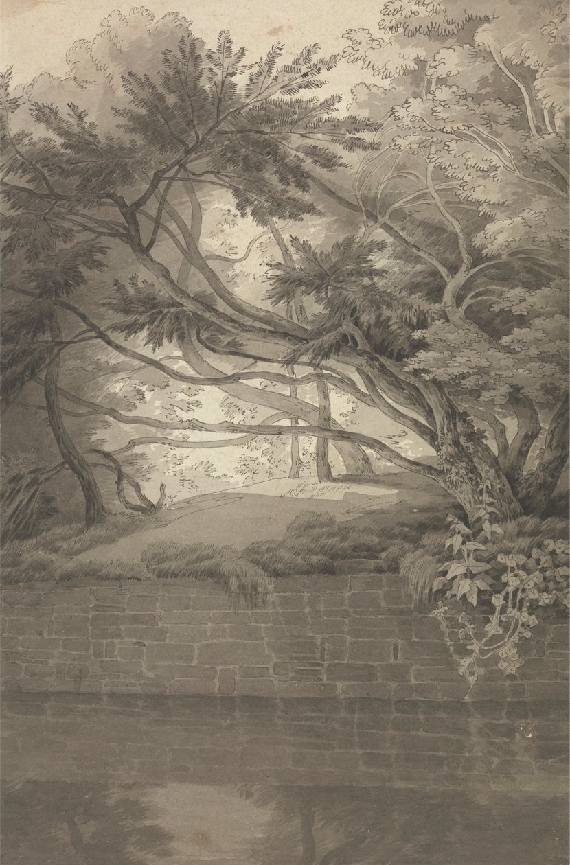Drzewa Nad Jeziorem autorstwa John White Abbott
