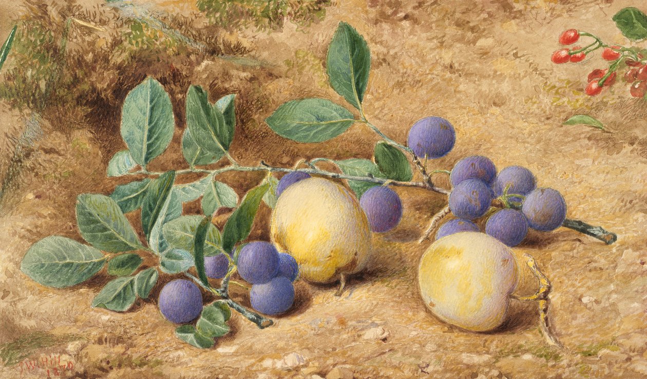 Śliwki, 1870. autorstwa John William Hill