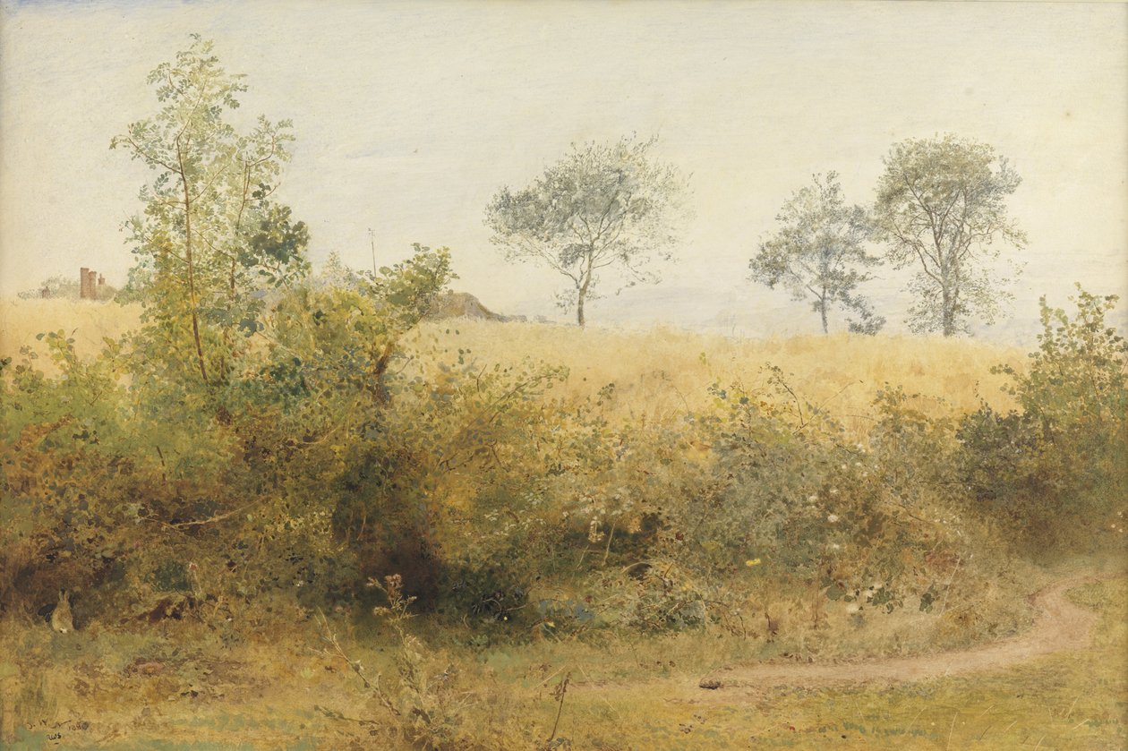 Nietoperz zaczyna się od Giddy Wing - Pole jęczmienia nad żywopłotem, 1885 (toaleta i ołówek z wydrapywaniem na papierze) autorstwa John William North