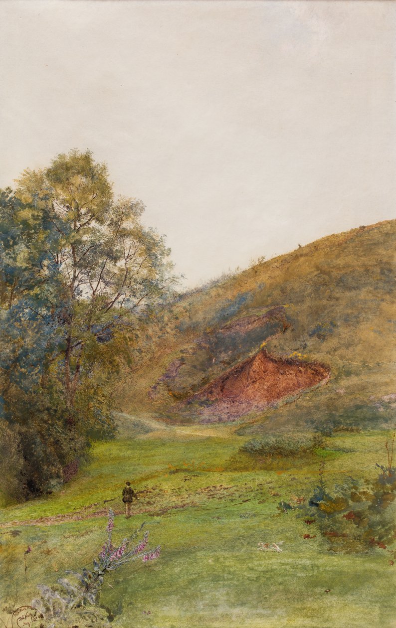 Wzgórza Quantock, ok. 1870 (akwarela na papierze) autorstwa John William North