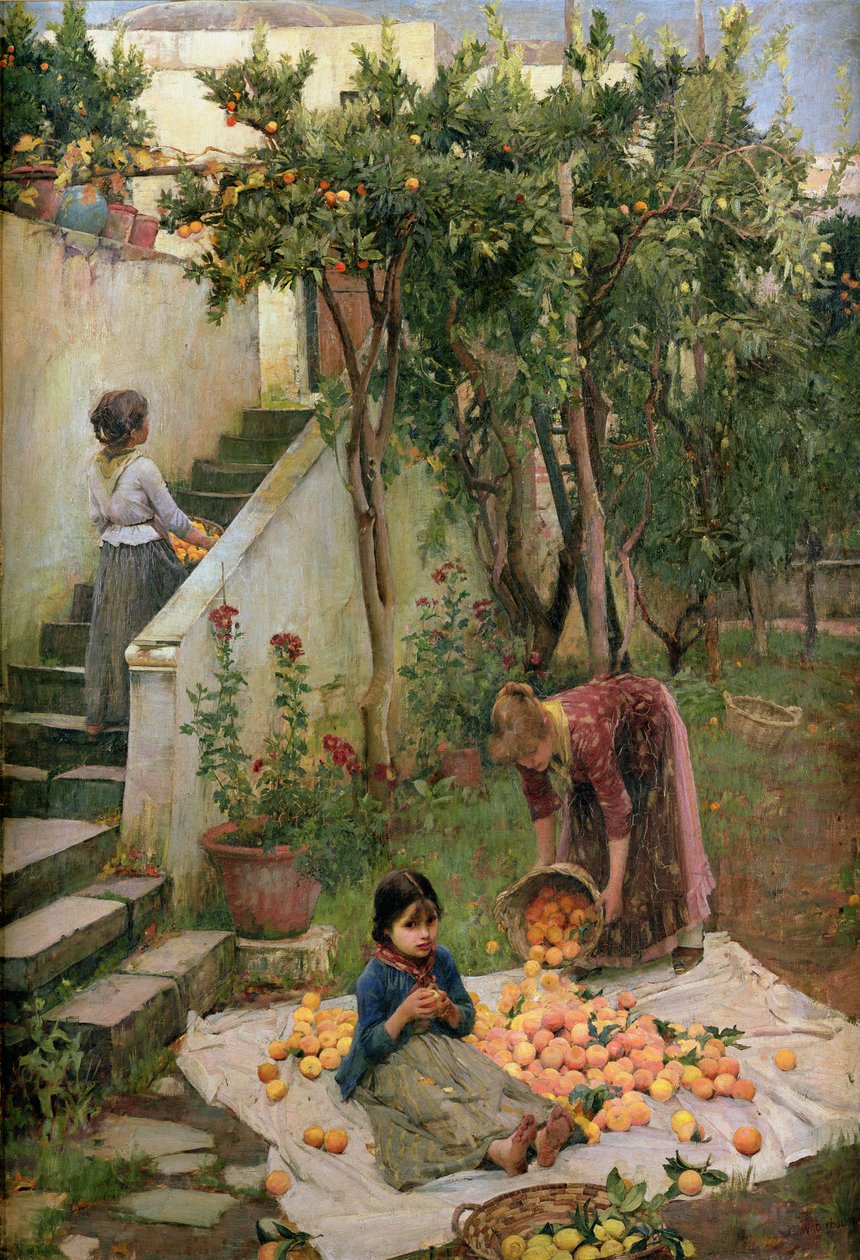 Pomarańczowi Zbieracze autorstwa John William Waterhouse
