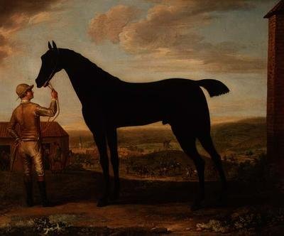 „Basto”, ciemnogniaty koń wyścigowy trzymany przez pana młodego przed stajnią w Newmarket autorstwa John Wootton