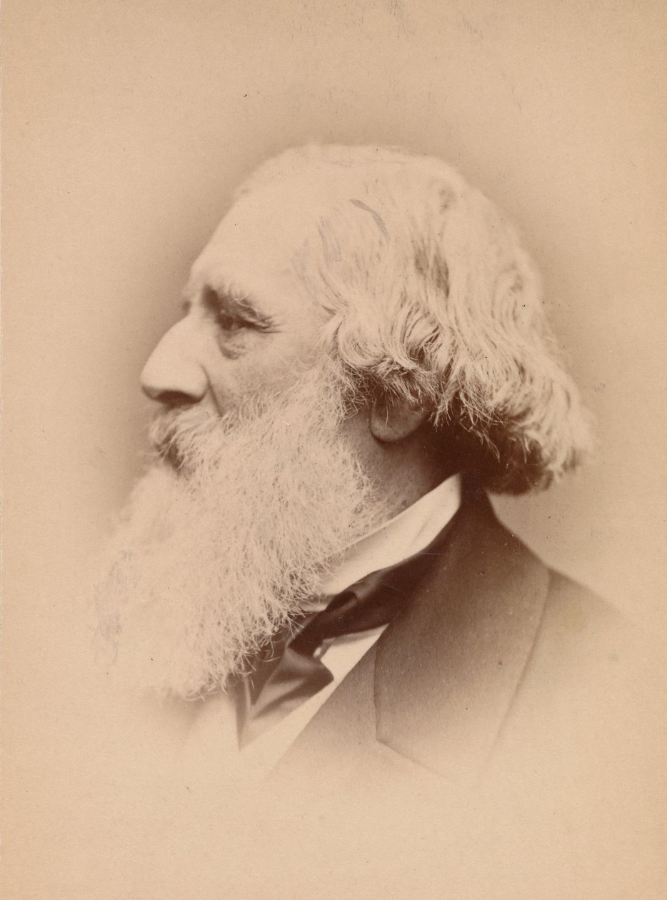 [John Frederick Lewis], lata 60. XIX wieku. autorstwa John and Charles Watkins