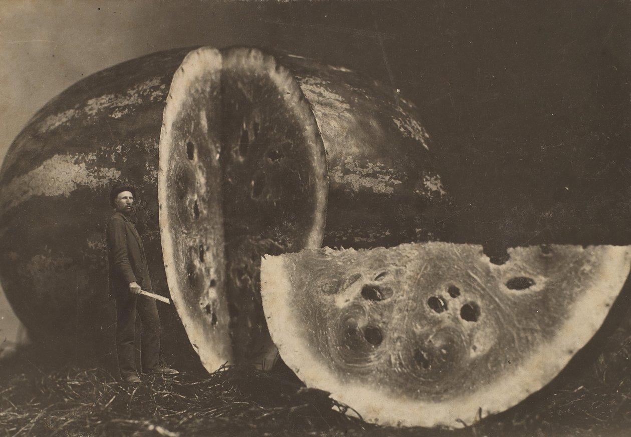 Człowiek krojący arbuza, 1898-1903. autorstwa Johnson