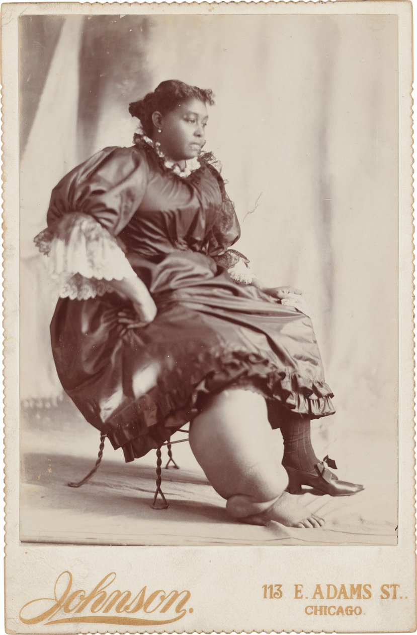 Portret kobiety, ok. 1890 (zdjęcie) autorstwa Johnson