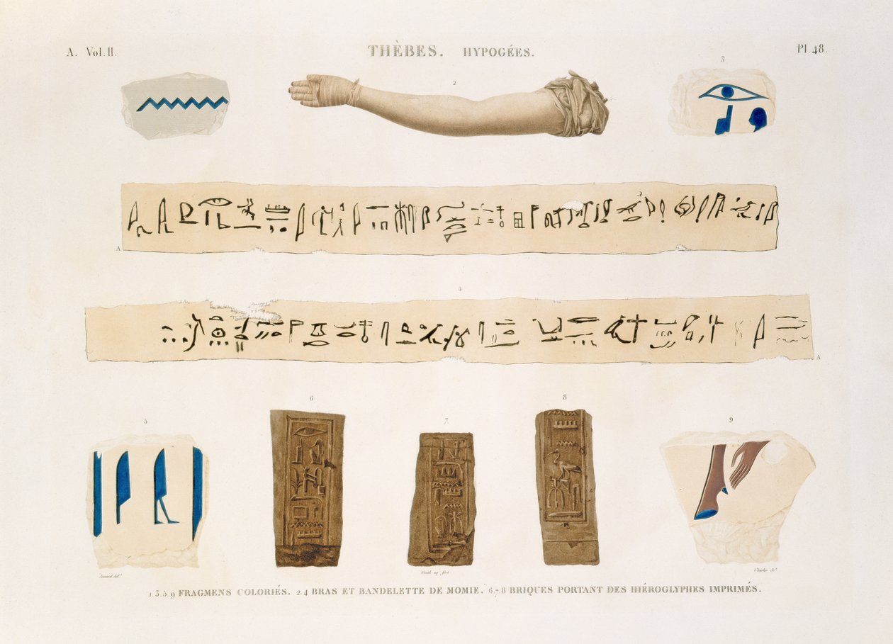 Ilustracje hieroglifów i ramienia mumii z Hypogees, Teby, tablica 48 z tomu II "Opisów Egiptu", rytowane przez Karola, 1822 (akwatinta) autorstwa Jomard