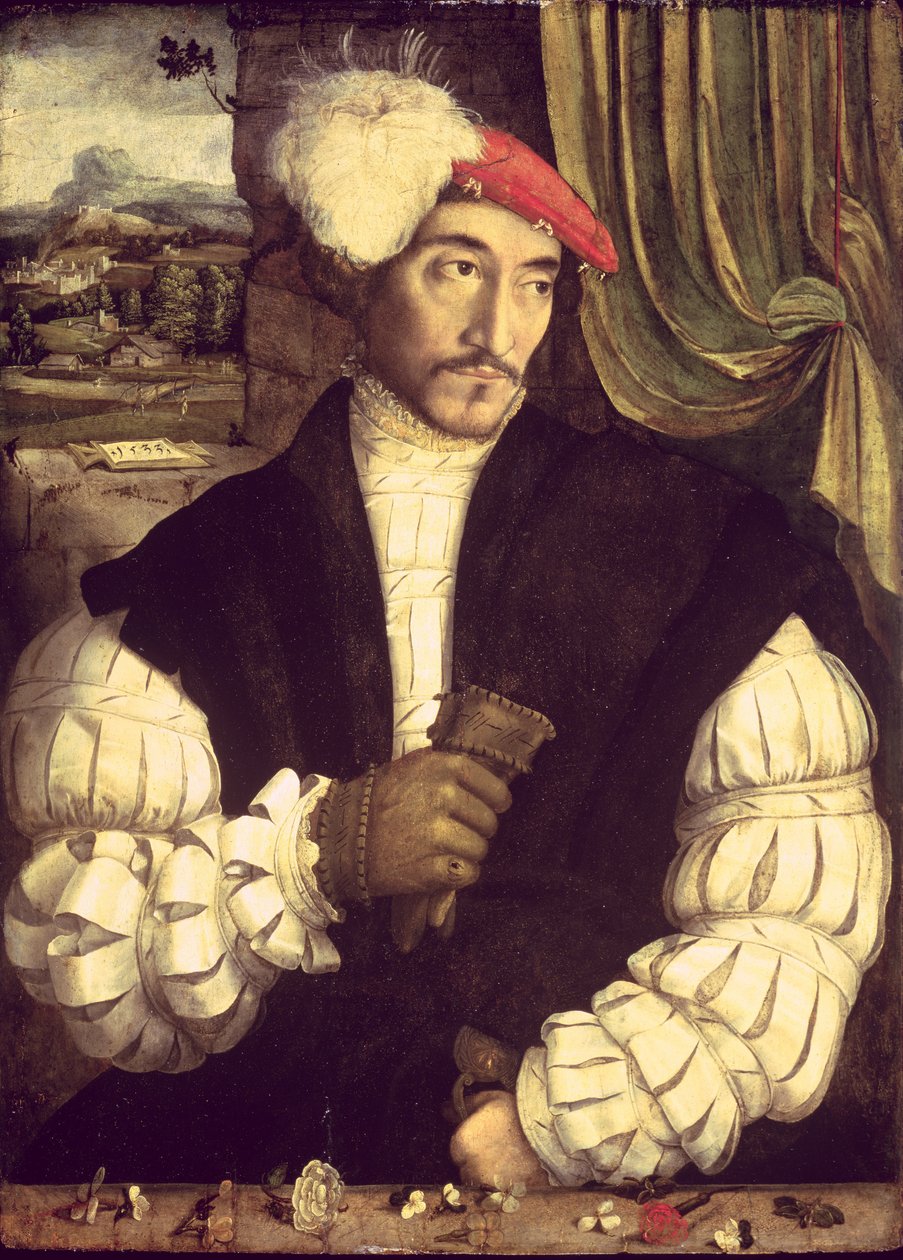 Portret mężczyzny, 1533 autorstwa Jorg I Breu