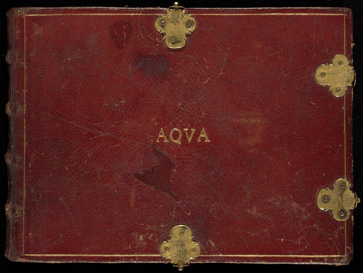 Animalia Aqvatilia et Conchiliata (Aqva), tom III autorstwa Joris Hoefnagel