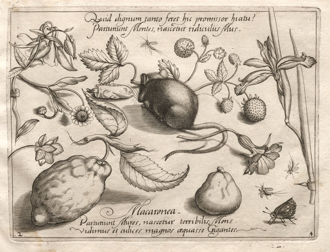 Archetypy i studia: Co może się wyłonić zgodnie z tak przepastną obietnicą, 1592. autorstwa Joris Hoefnagel