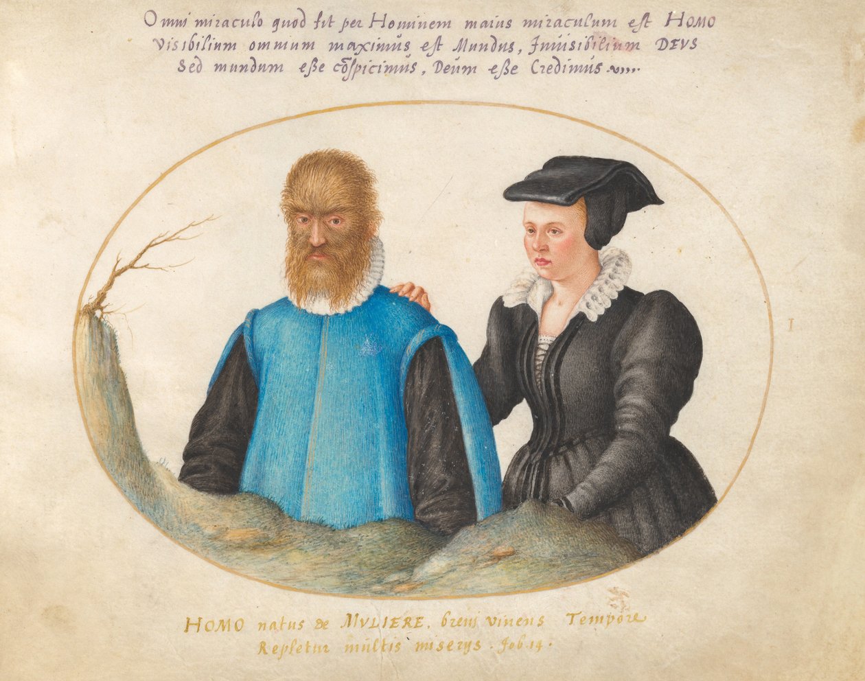 Ilustracja 1: Pedro González (Petrus Gonsalvus) i jego żona Katarzyna autorstwa Joris Hoefnagel