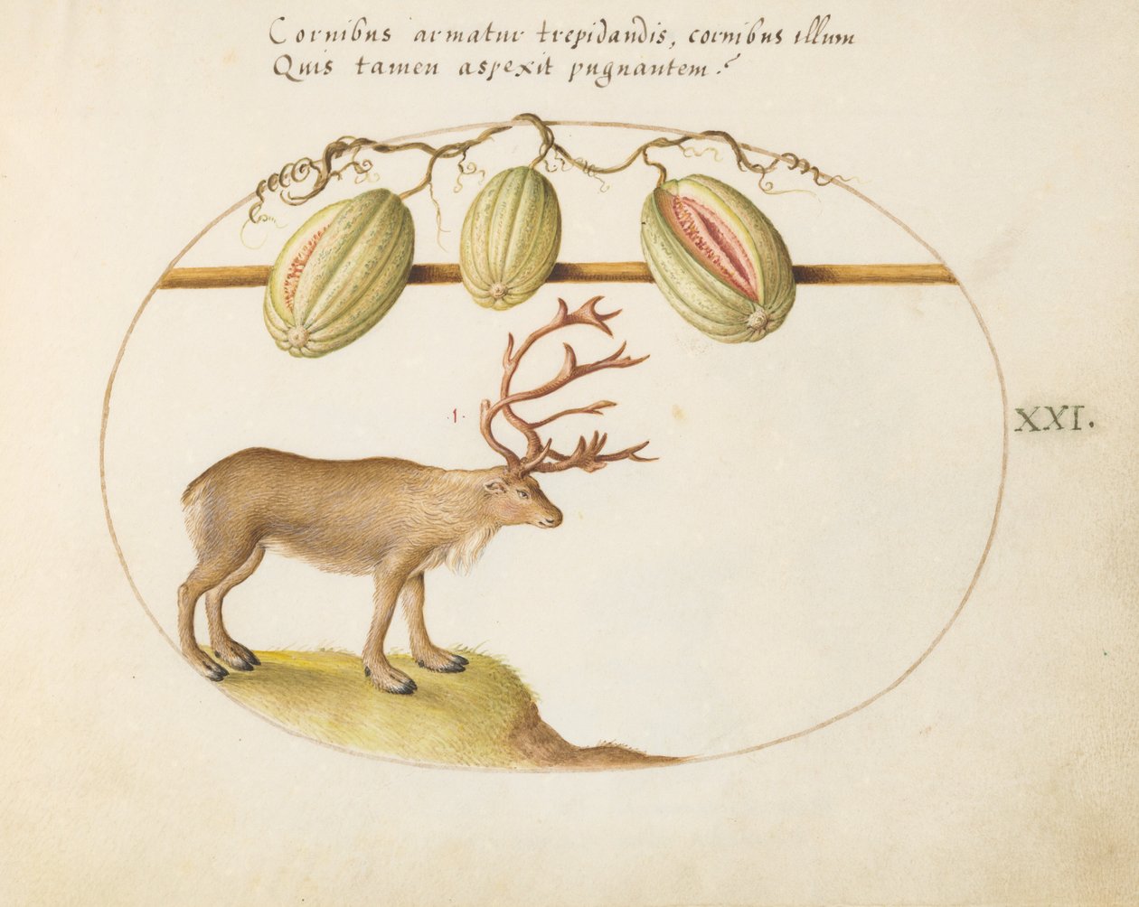 Talerz 21: Renifer z melonami autorstwa Joris Hoefnagel
