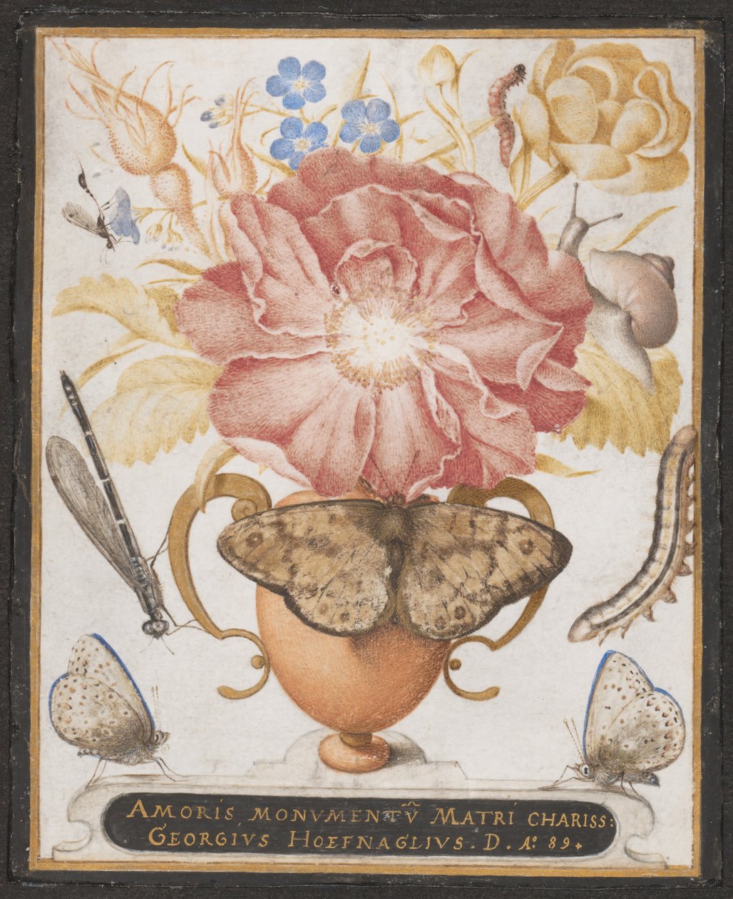 Martwa natura z kwiatami, ślimakiem i owadami, 1589. autorstwa Joris Hoefnagel