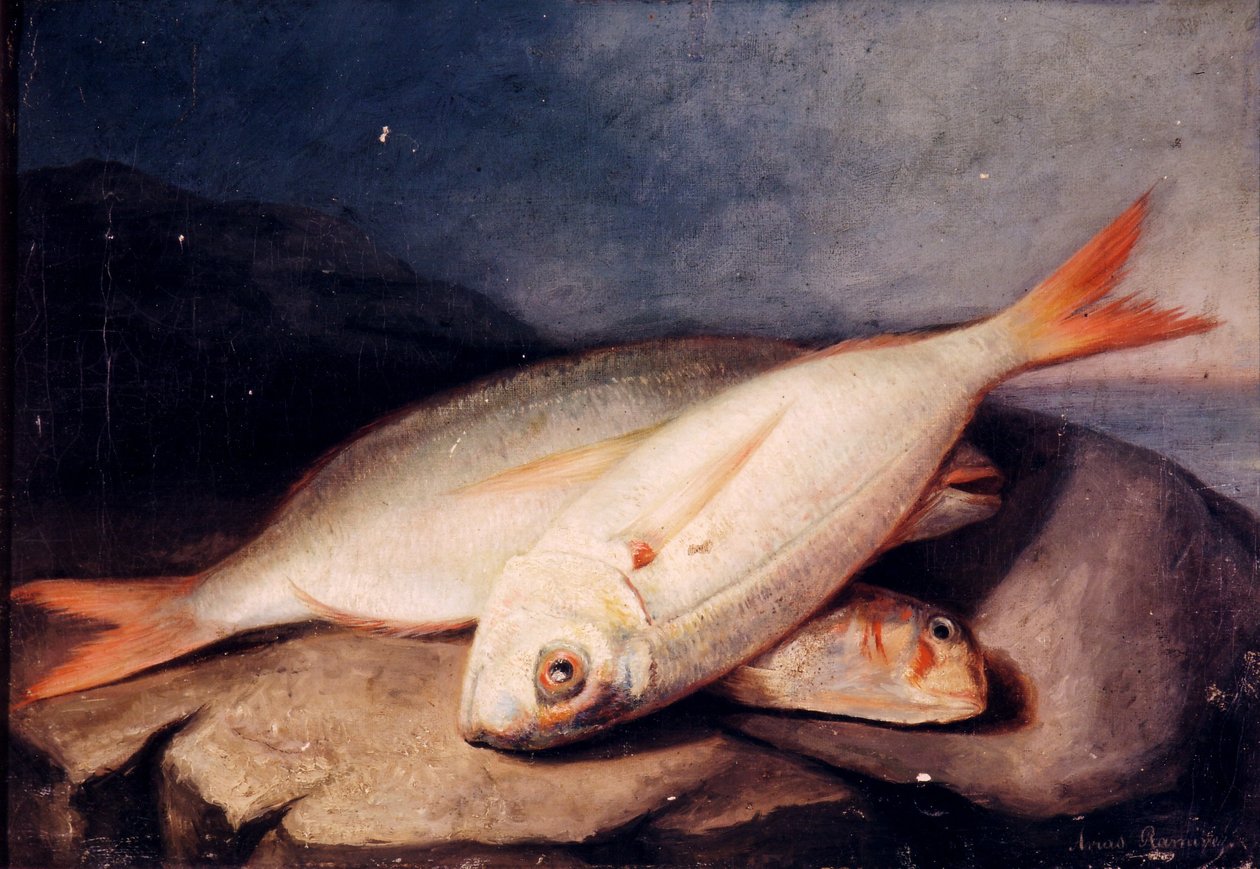 hiszpański: Bodegón de peces autorstwa José Arias Ramírez