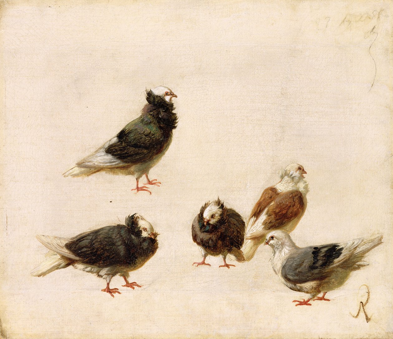 Gołębie, 1888 autorstwa Jose Ruiz Blasco