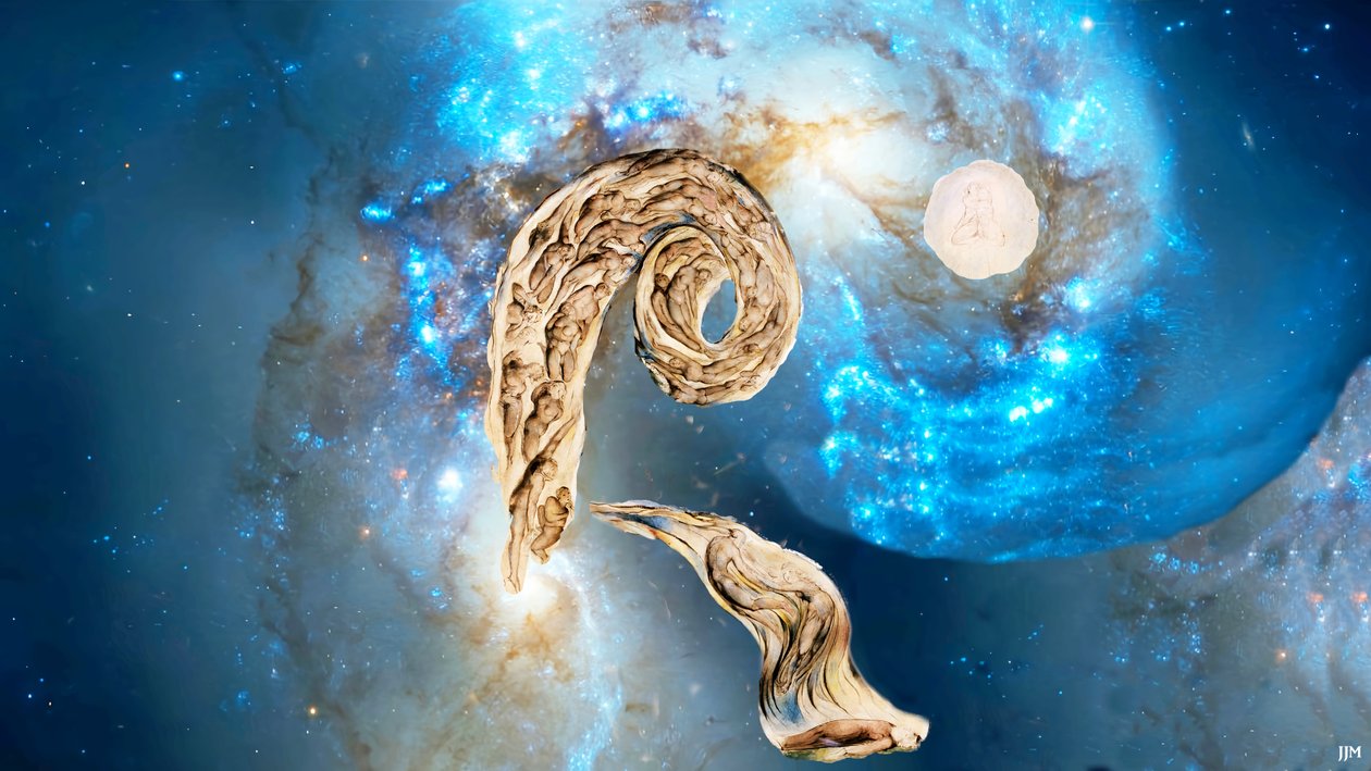 JJM-recreate: Blake-W_The Whirlwind of Lovers+JWST autorstwa Josef Johann Michel