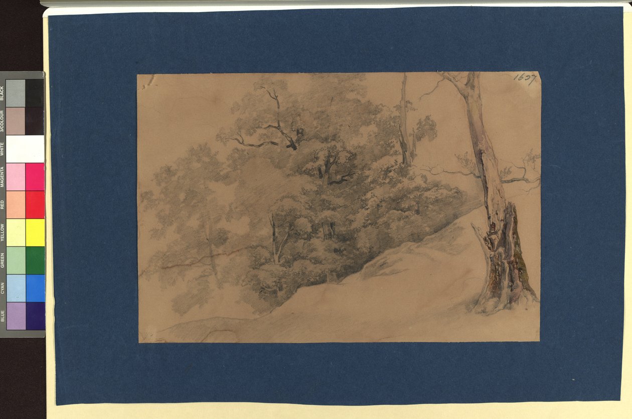 Landschaftsstudie autorstwa Josef Kriehuber