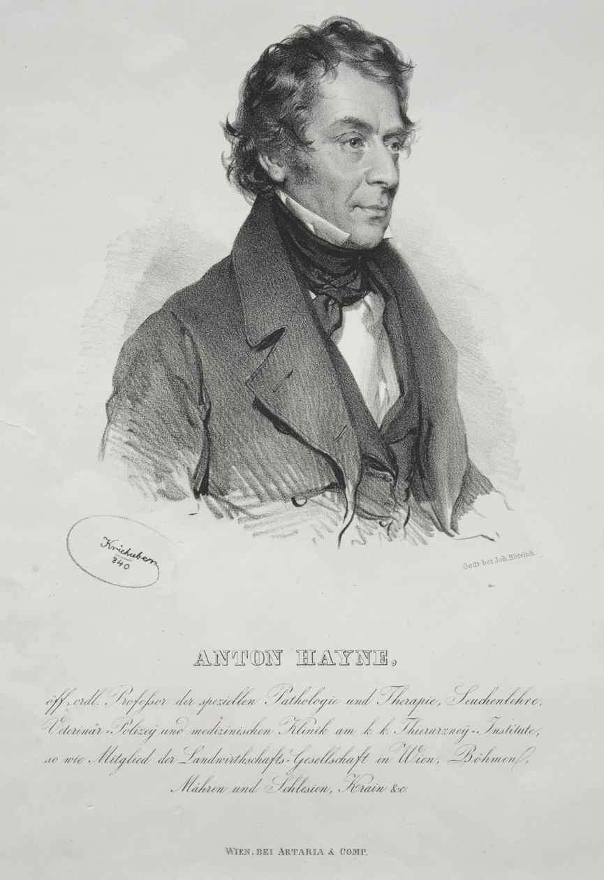 Portret dr Antona Hayne autorstwa Josef Kriehuber