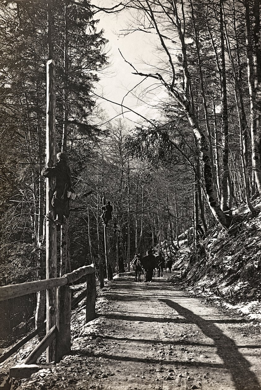Album "Moja wojna światowa - wspomnienia Frontu Południowo-Zachodniego w Karyntii, Włochy, Trentino-Alto Adige) 31.03.1915-12.11.1918 - Josef Zohles Wiedeń": żołnierze do pracy (b/w foto autorstwa Josef Zohles