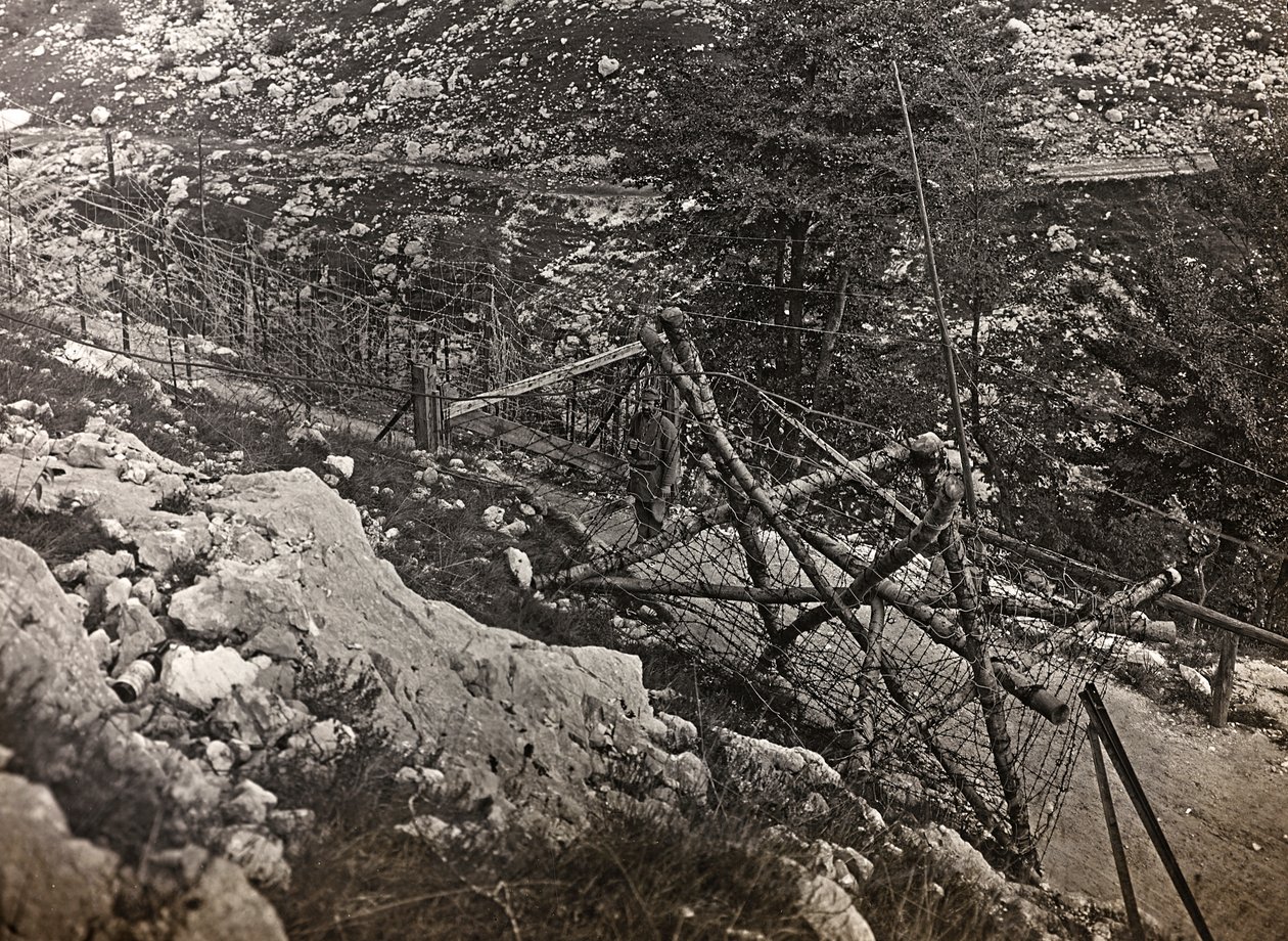 Album "Moja wojna światowa - wspomnienia Frontu Południowo-Zachodniego w Karyntii, Włochy, Trentino-Alto Adige) 31.03.1915-12.11.1918 - Josef Zohles Vienna": drut kolczasty (zdjęcie czarno-białe) autorstwa Josef Zohles