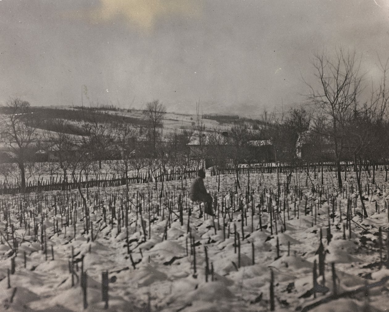 Album "Moja wojna światowa - wspomnienia Frontu Południowo-Zachodniego w Karyntii, Włochy, Trentino-Alto Adige) 31.03.1915-12.11.1918 - Josef Zohles Vienna": Cmentarz wojskowy (b/w fot. autorstwa Josef Zohles