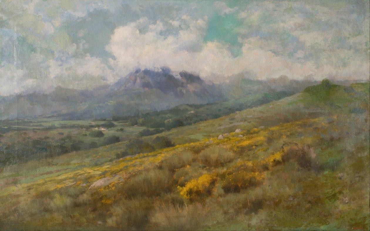 Krajobraz autorstwa Josep Berga Boix