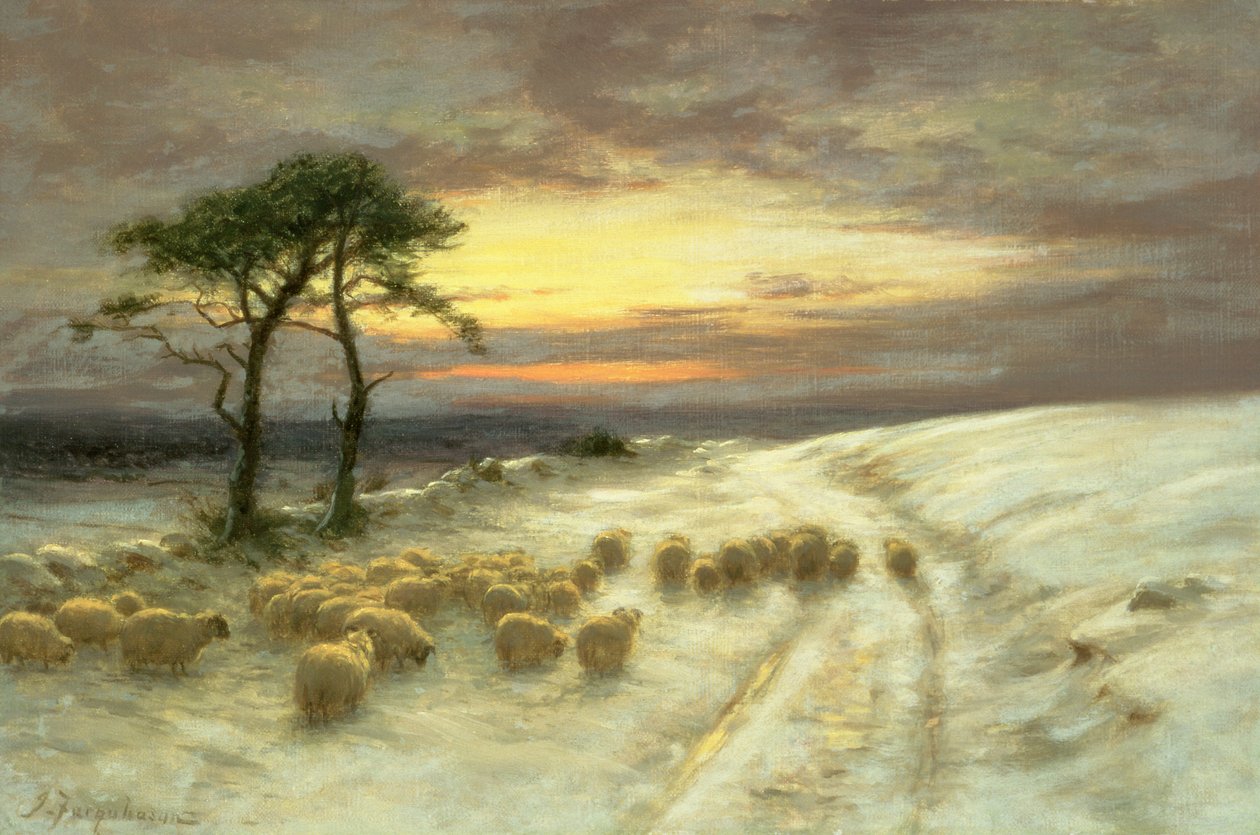 Owce na śniegu autorstwa Joseph Farquharson