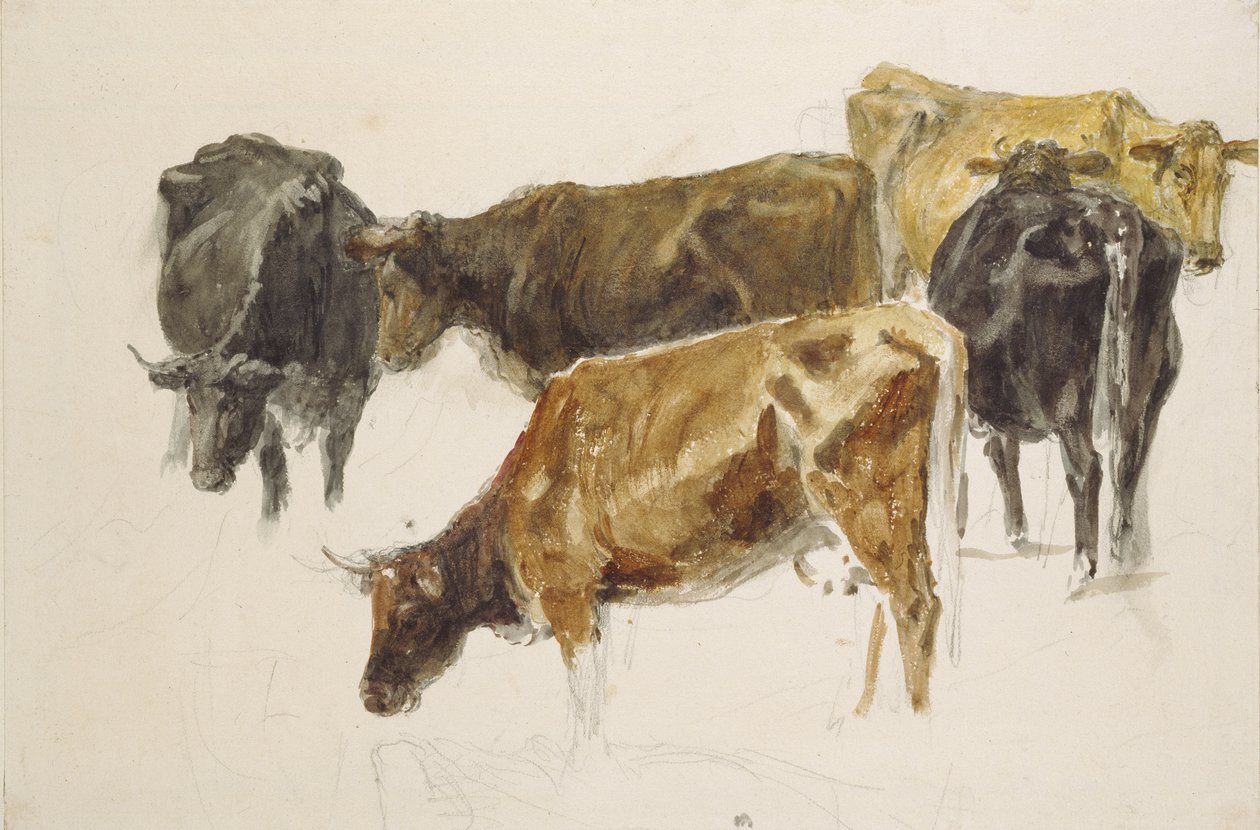 Studium grupy krów, ok. godz. 1801 (akwarela na graficie, z pewnymi skreśleniami, na papierze tkanym) autorstwa Joseph Mallord William Turner