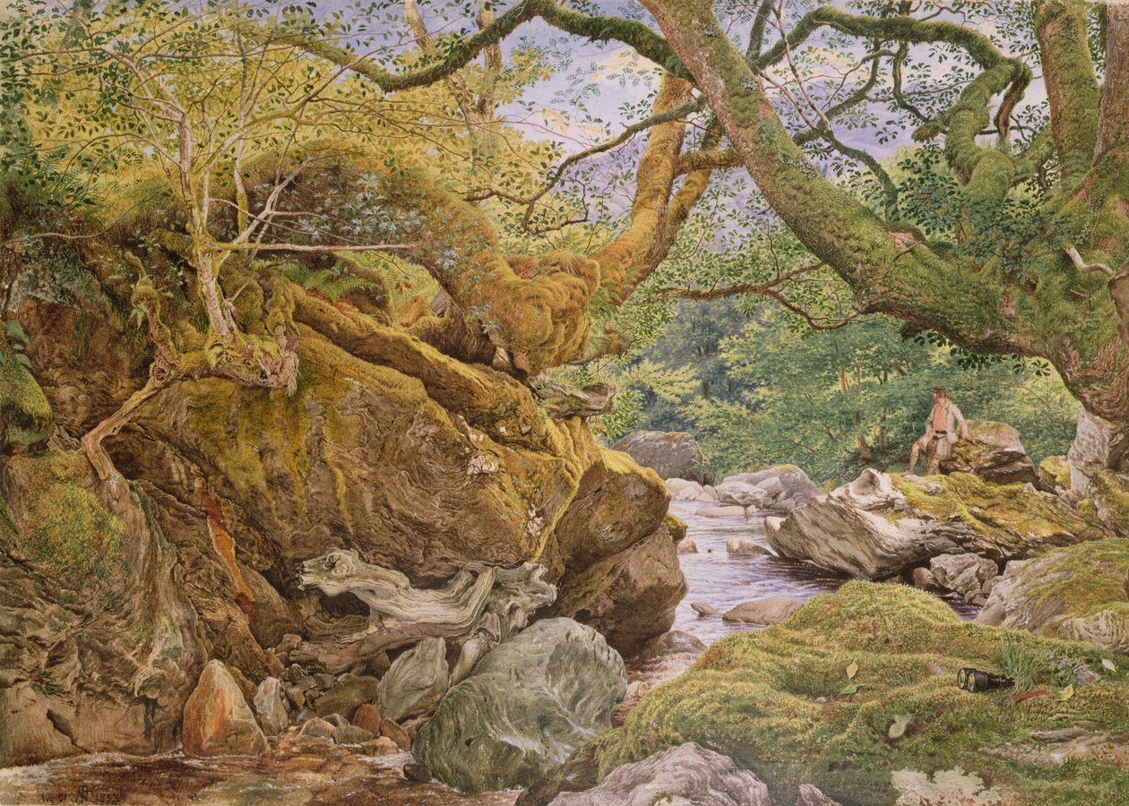Studium z natury: Inveruglas, 1857 autorstwa Joseph Noel Paton