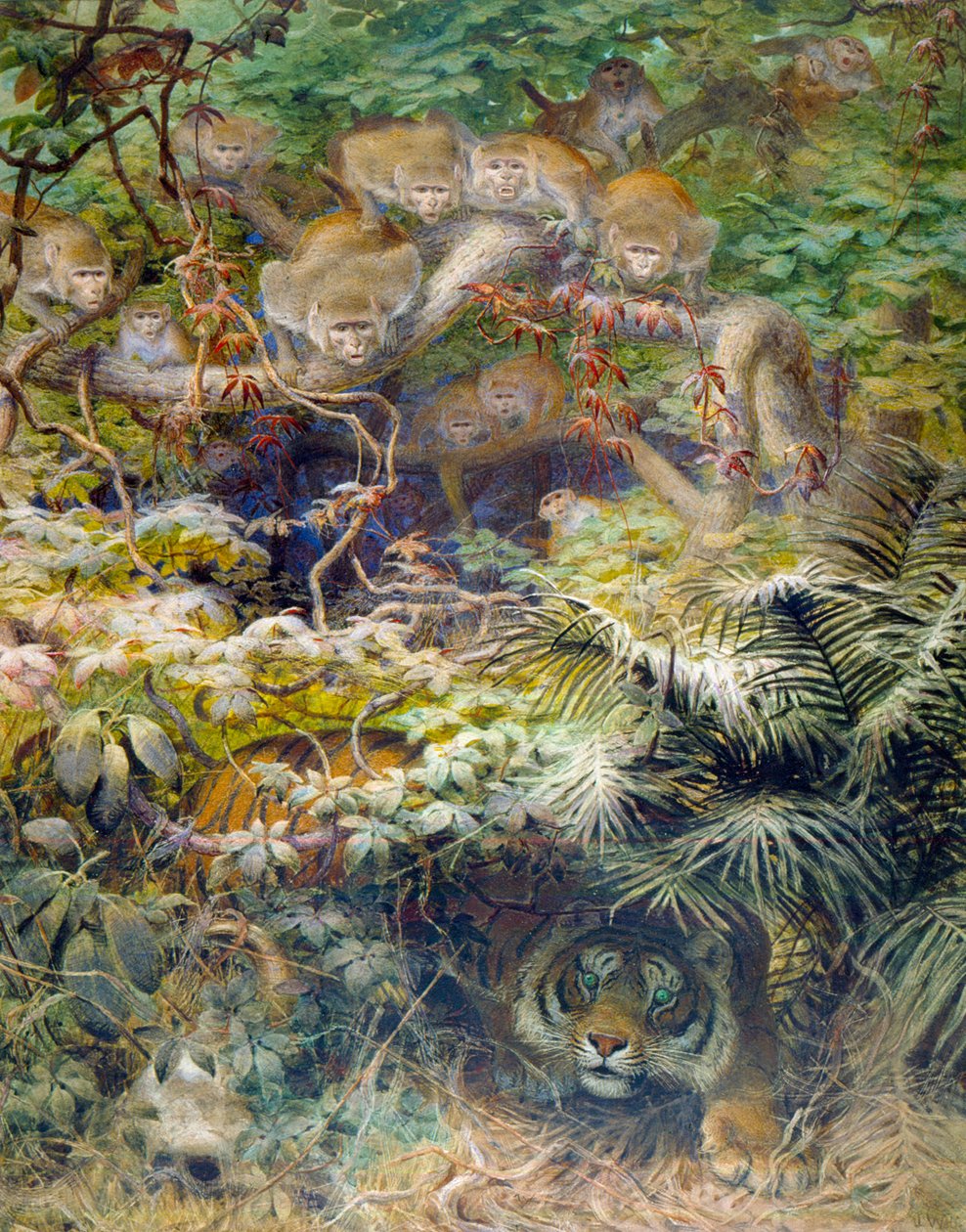 Awantura w dżungli, 1863 autorstwa Joseph Wolf