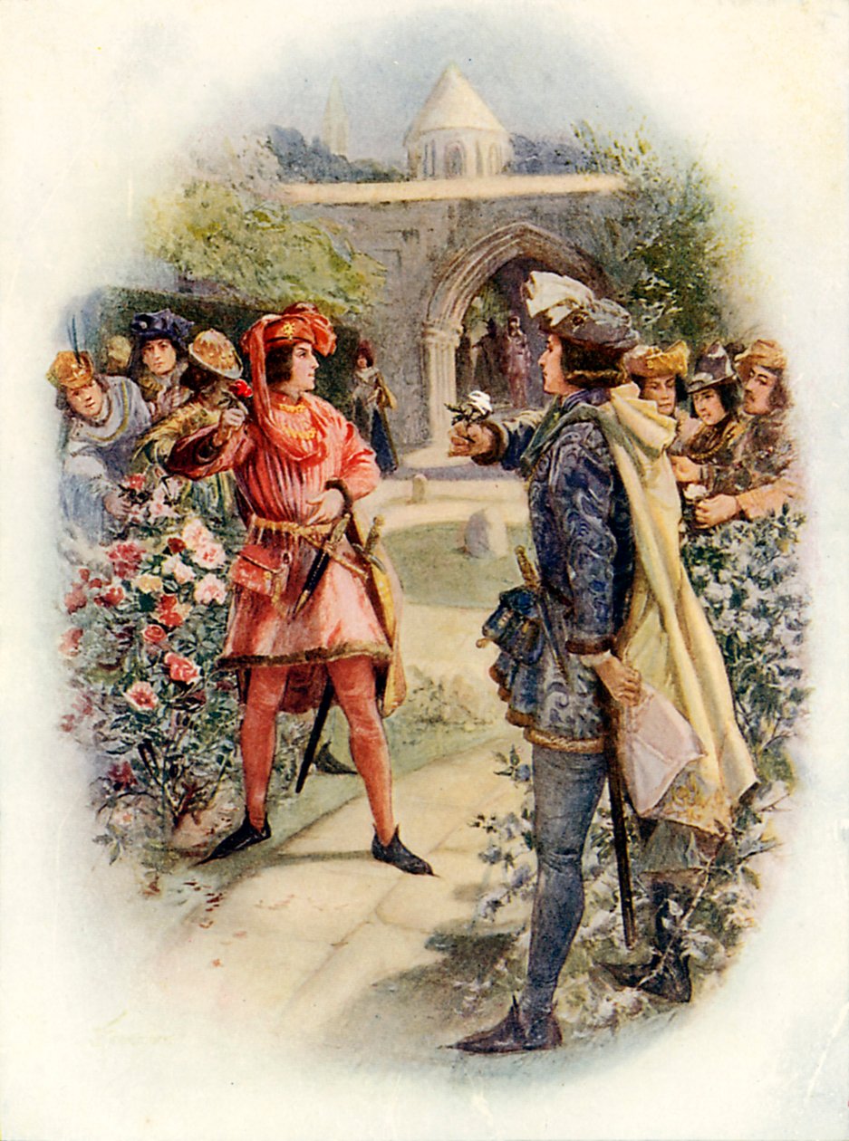 Czerwona róża i biel (kolorowa litografia) autorstwa Joseph (after) Finnemore