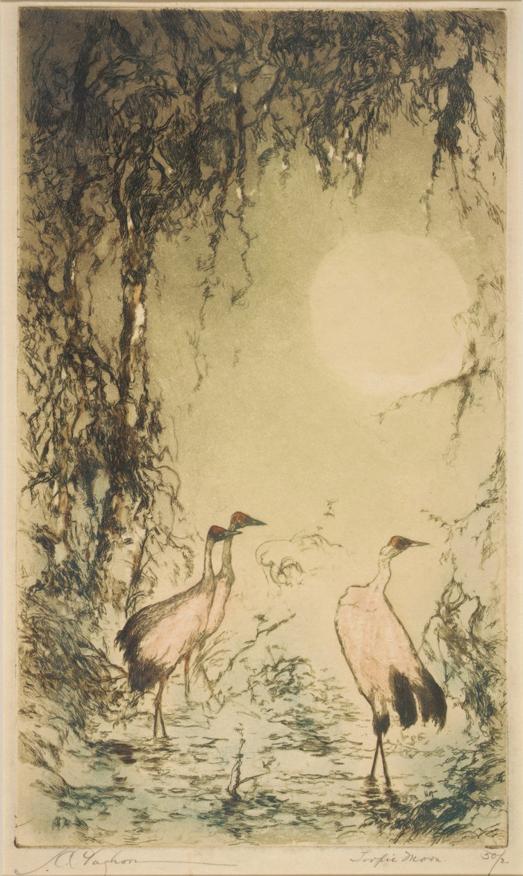 Tropic Moon autorstwa Joseph C. Claghorn