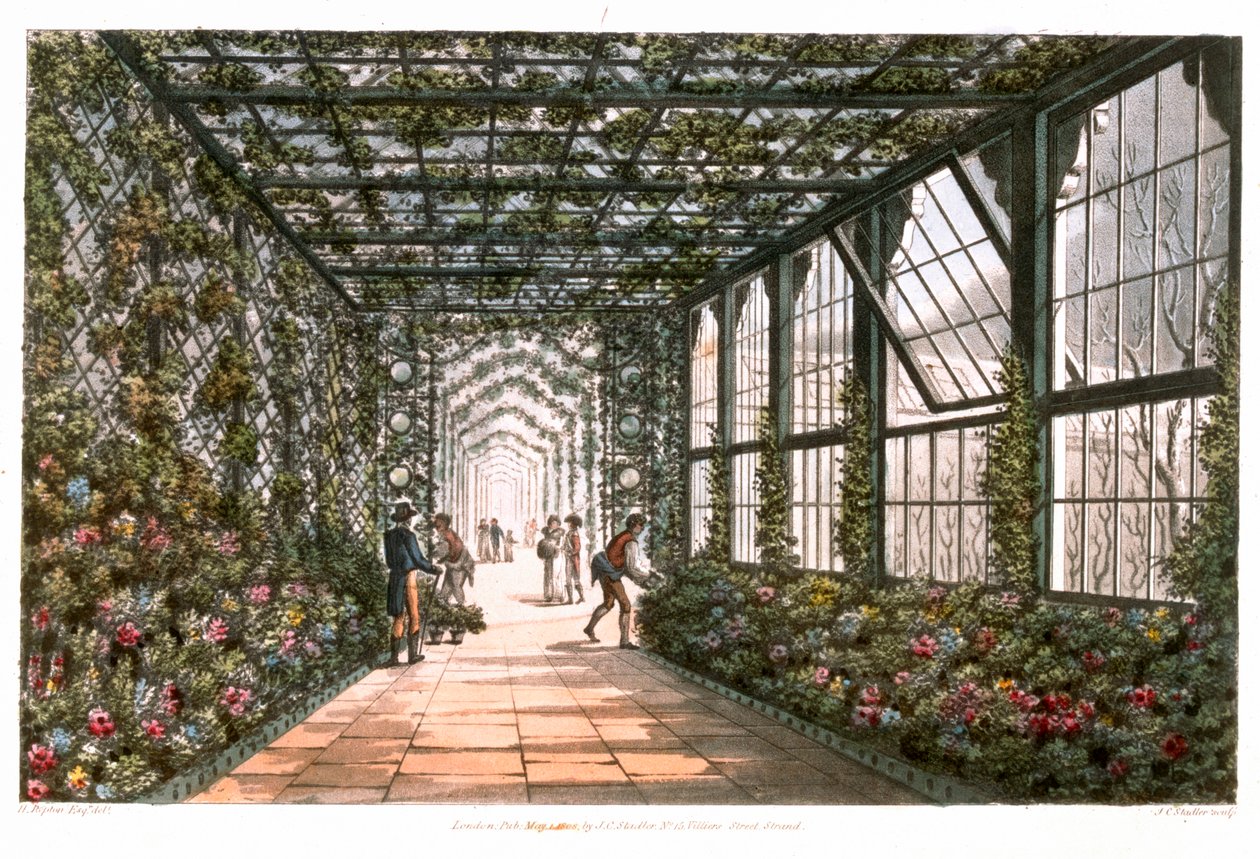 Korytarz oranżerii, 1808 autorstwa Joseph Constantine Stadler