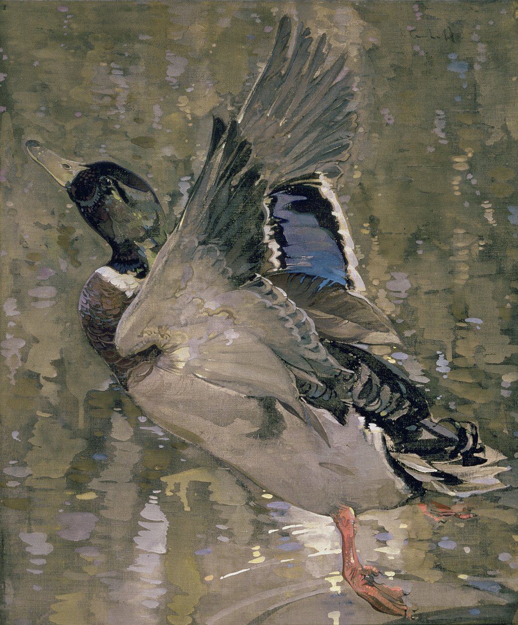 Krzyżówka Rising (wc na papierze) autorstwa Joseph Crawhall