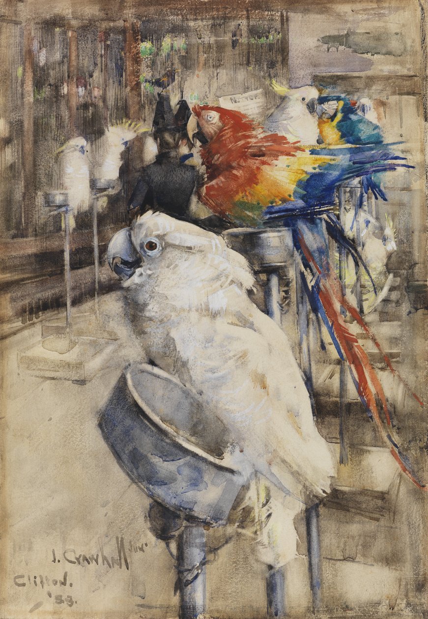Ptaszarnia, Clifton autorstwa Joseph Crawhall
