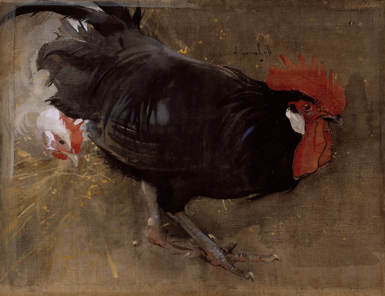 Czarny Kogut (gwasz na płótnie) autorstwa Joseph Crawhall