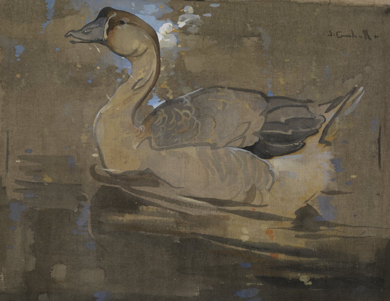 Gęś Chińska (gwasz na płótnie) autorstwa Joseph Crawhall